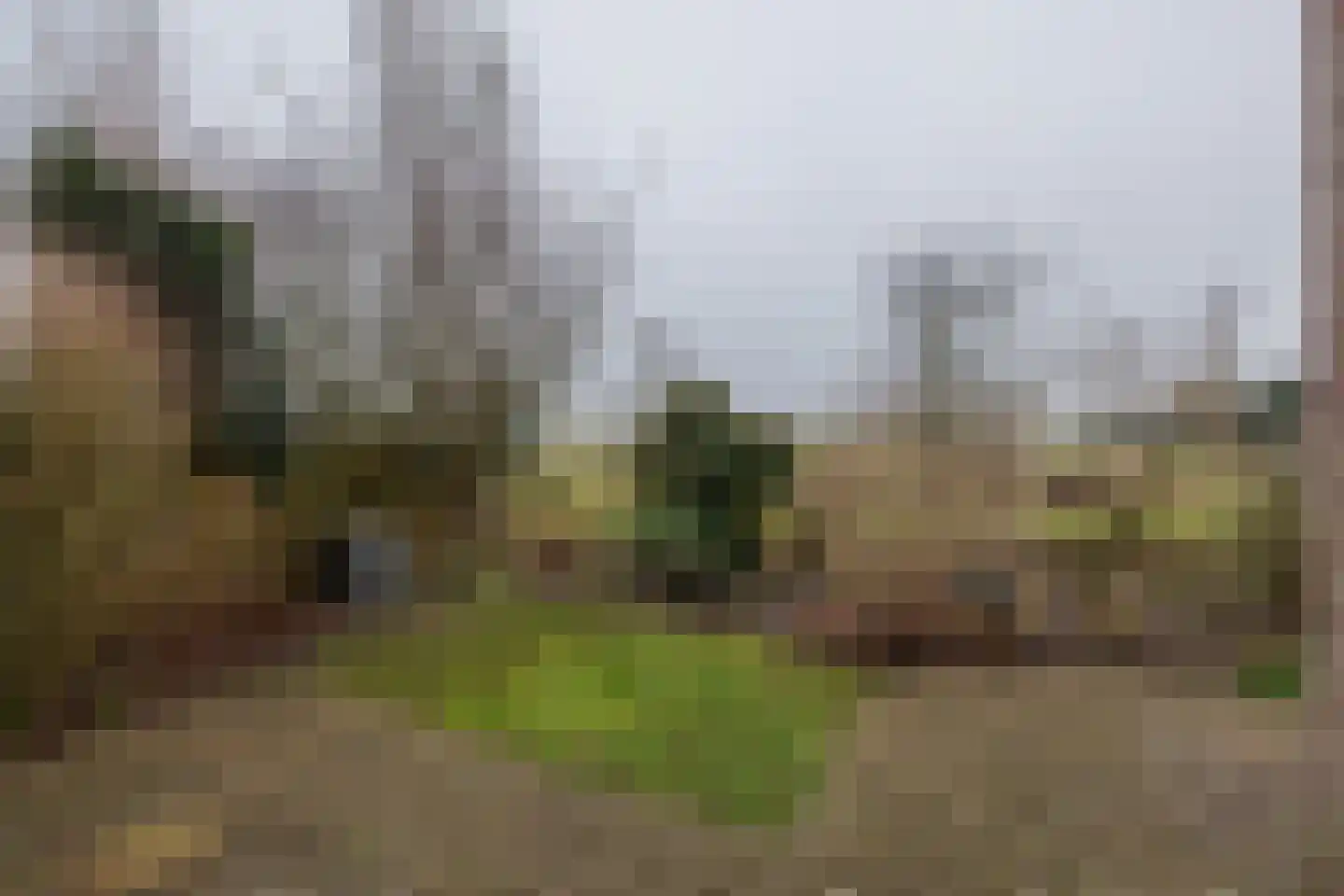 Schelpenhoek 13 Noordwijk thumbnail 19
