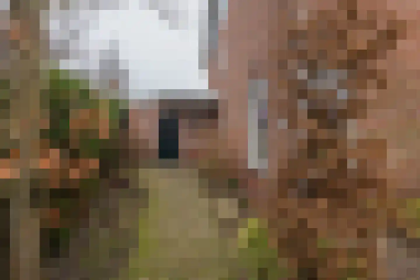 Schelpenhoek 13 Noordwijk thumbnail 4