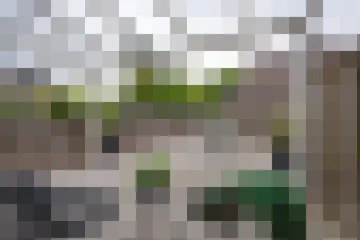 Schelpenhoek 3 Diemen thumbnail 19