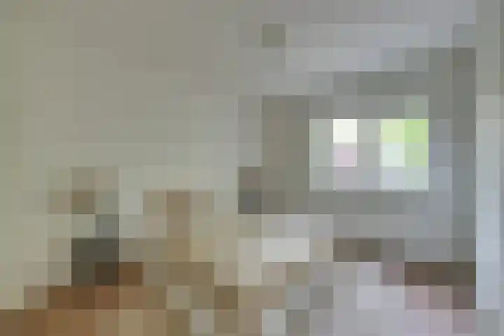 Schelpenhoek 3 Diemen thumbnail 25
