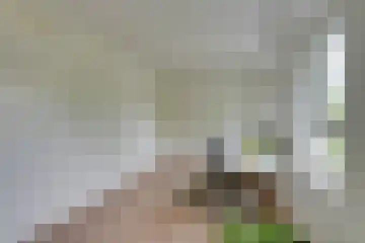 Schelpenhoek 3 Diemen thumbnail 36