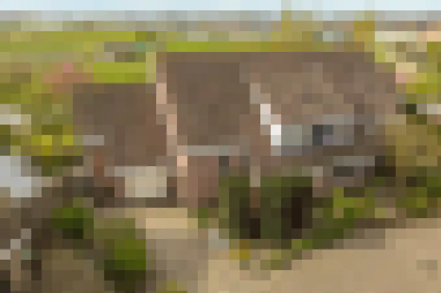 Schelpenhoek 9 dans Noordwijk