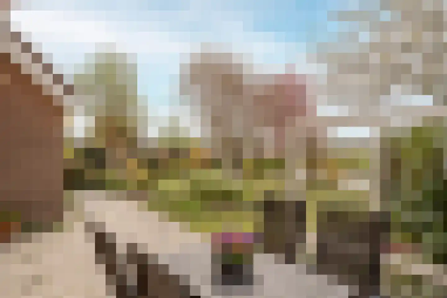Schelpenhoek 9 Noordwijk thumbnail 15