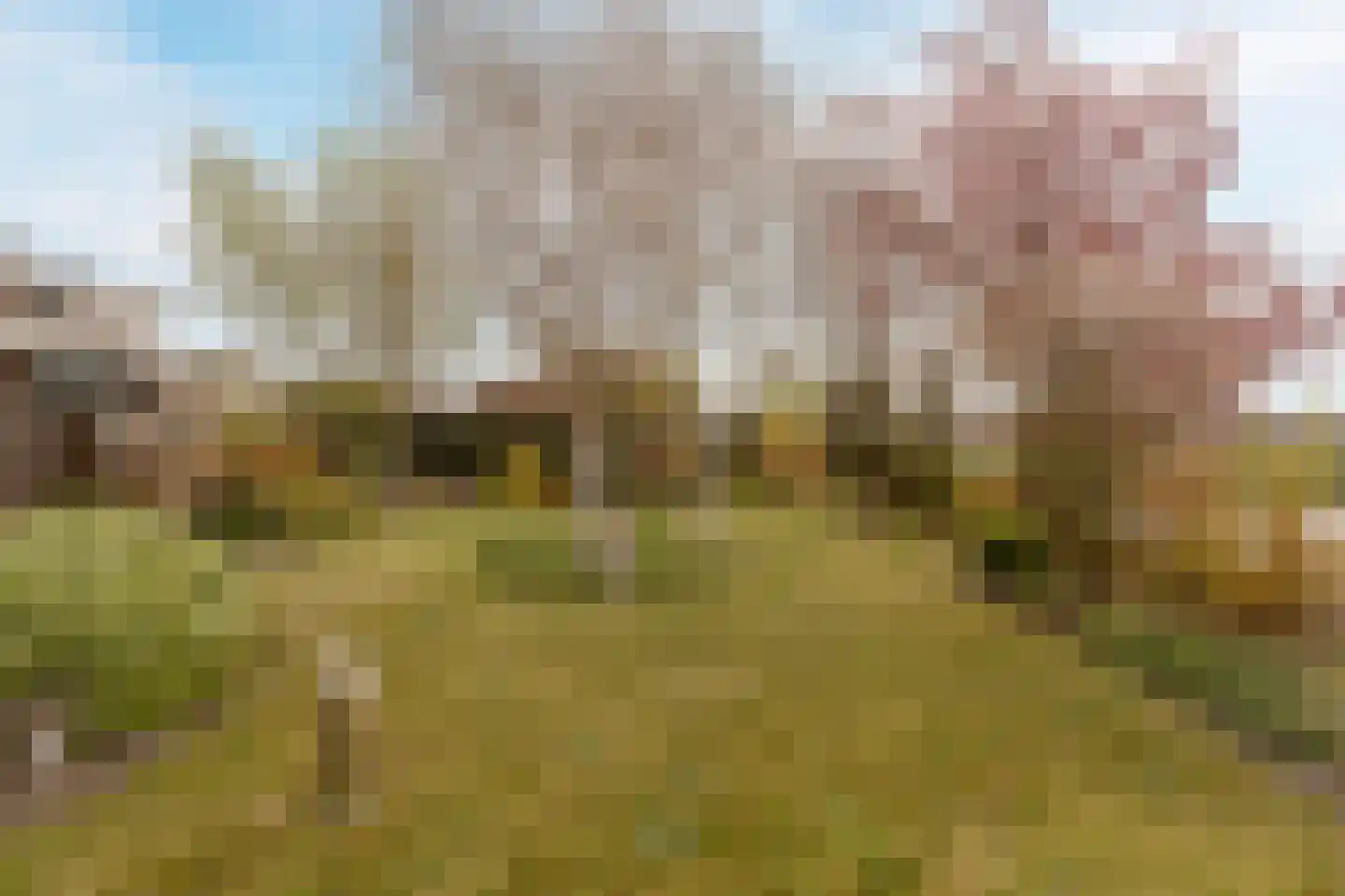 Schelpenhoek 9 Noordwijk thumbnail 16