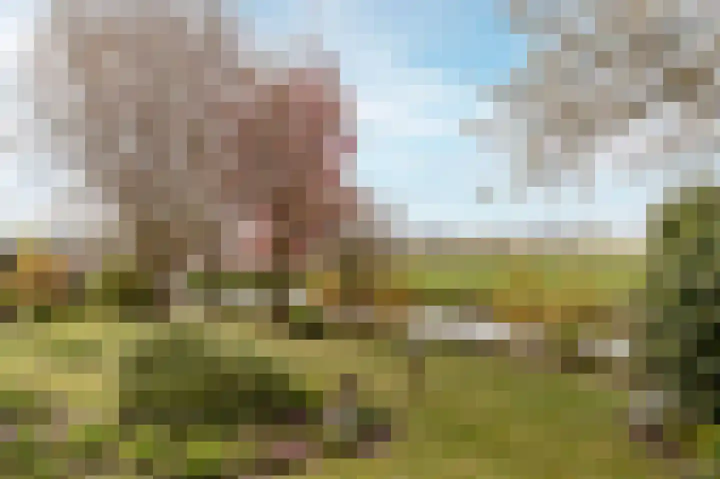 Schelpenhoek 9 Noordwijk thumbnail 17