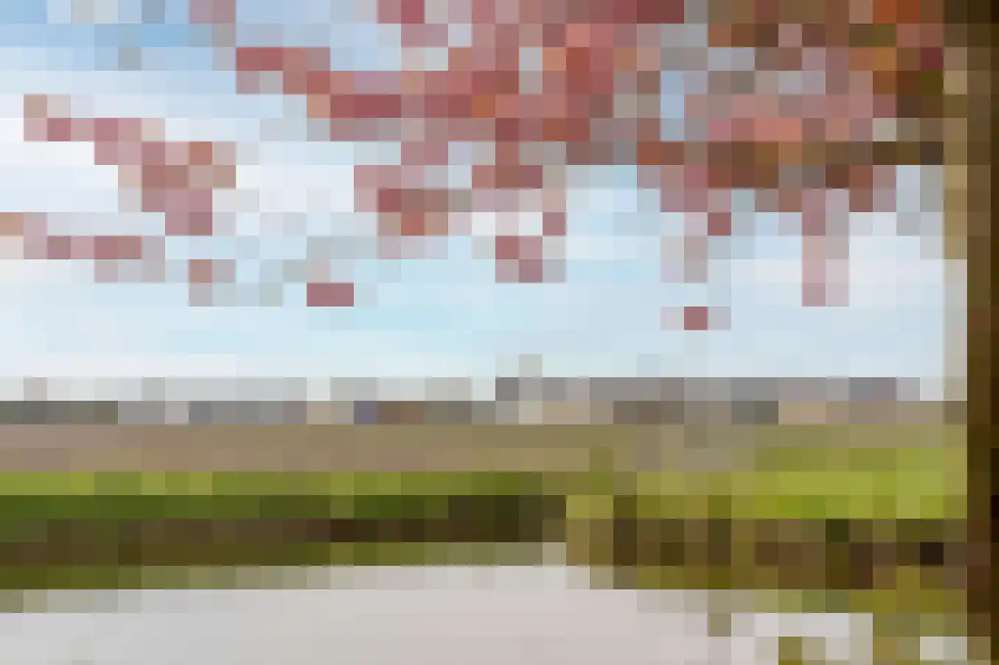 Schelpenhoek 9 Noordwijk thumbnail 18