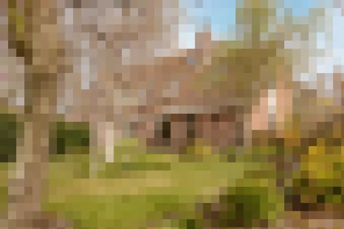 Schelpenhoek 9 Noordwijk thumbnail 19