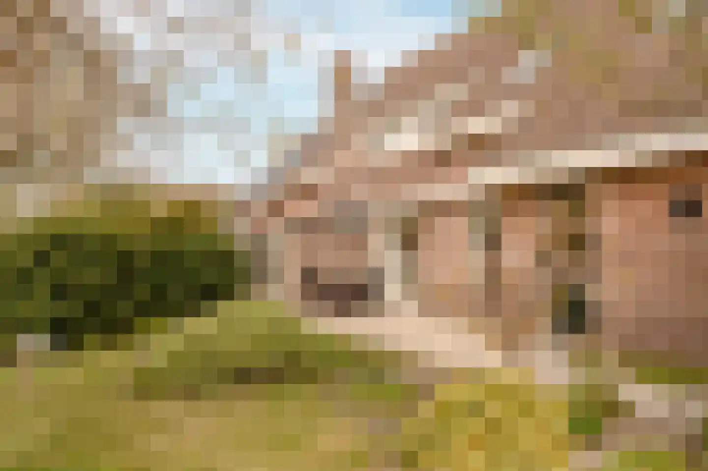 Schelpenhoek 9 Noordwijk thumbnail 20