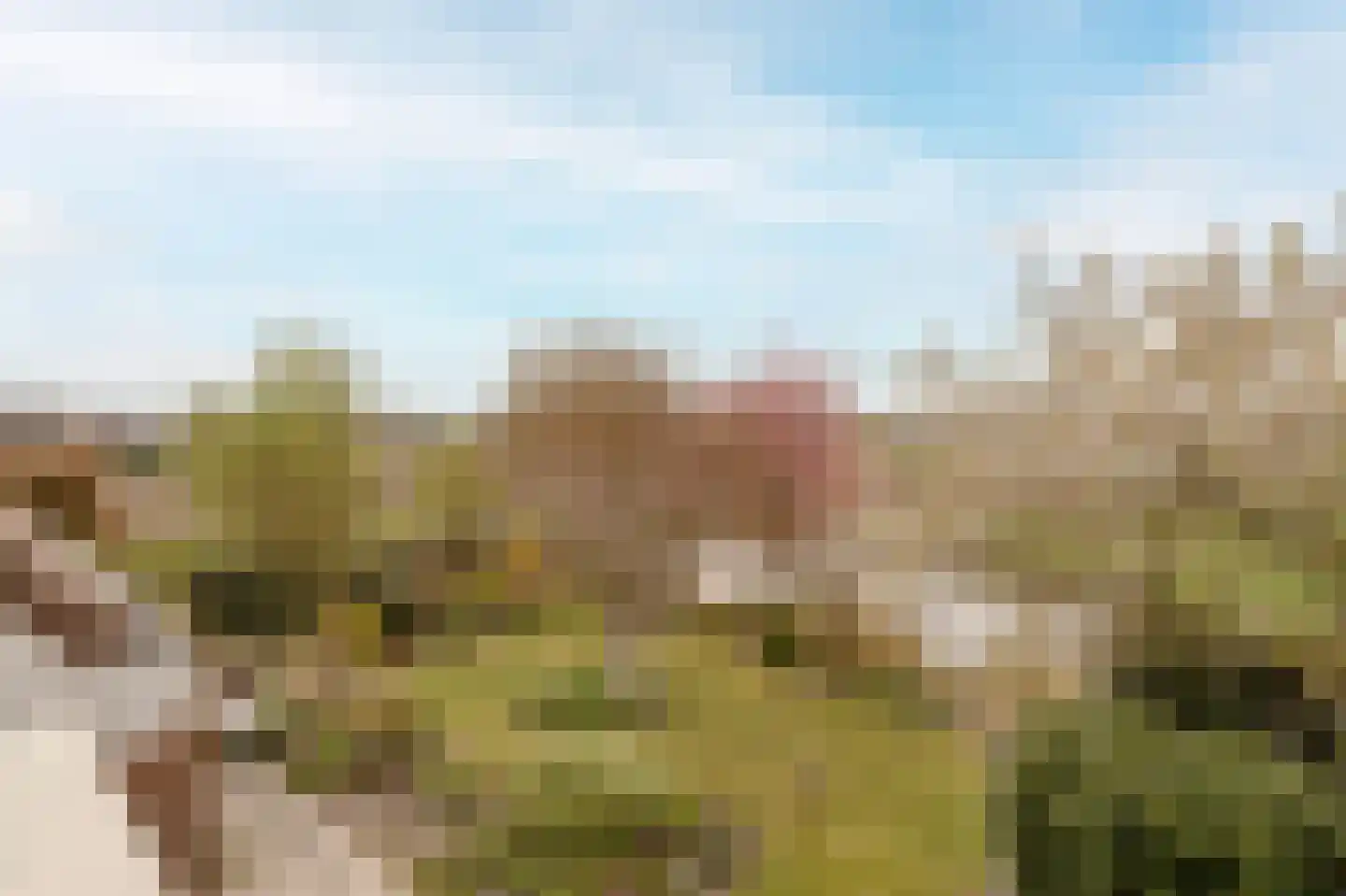 Schelpenhoek 9 Noordwijk thumbnail 31