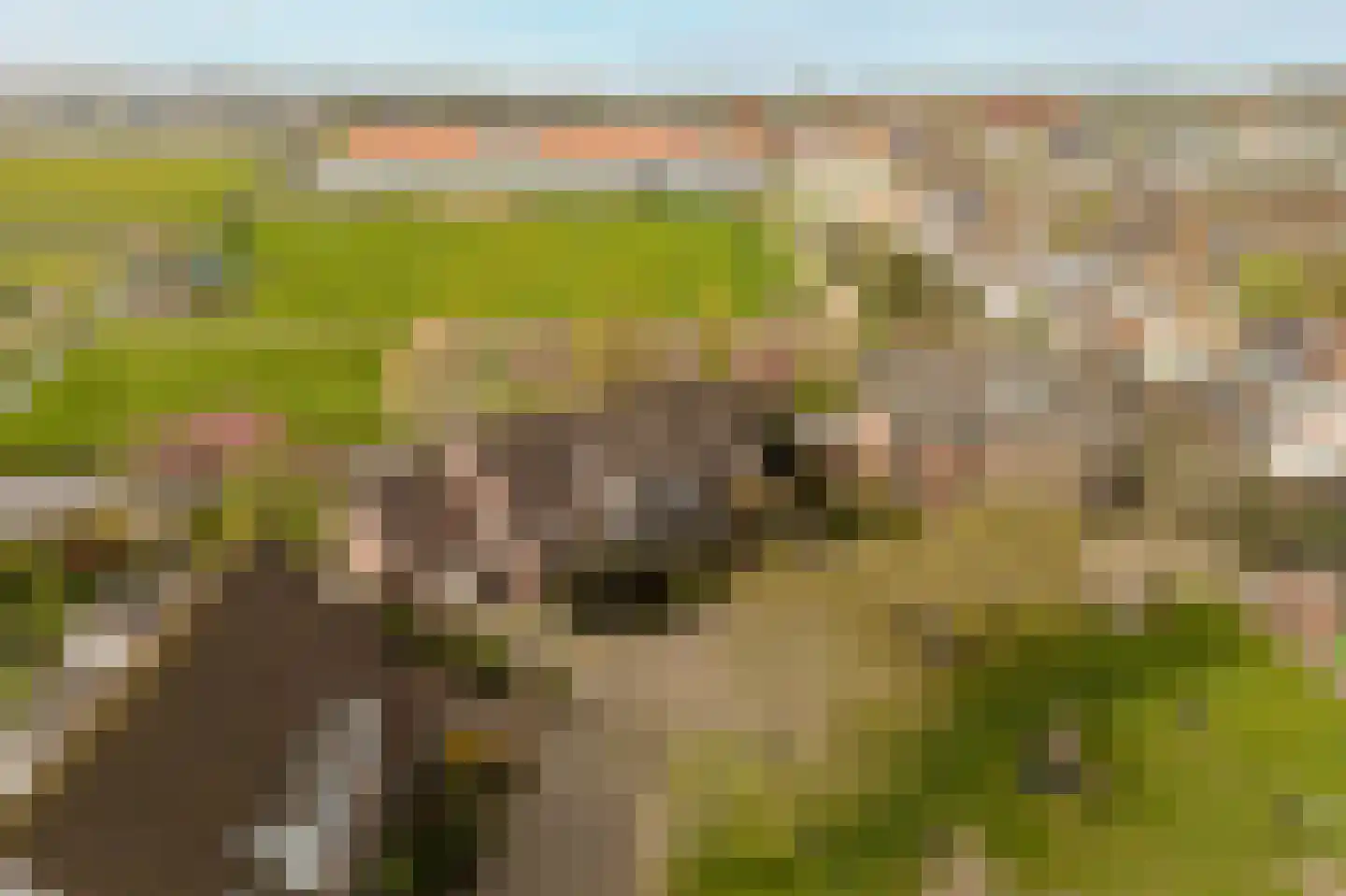 Schelpenhoek 9 Noordwijk thumbnail 4