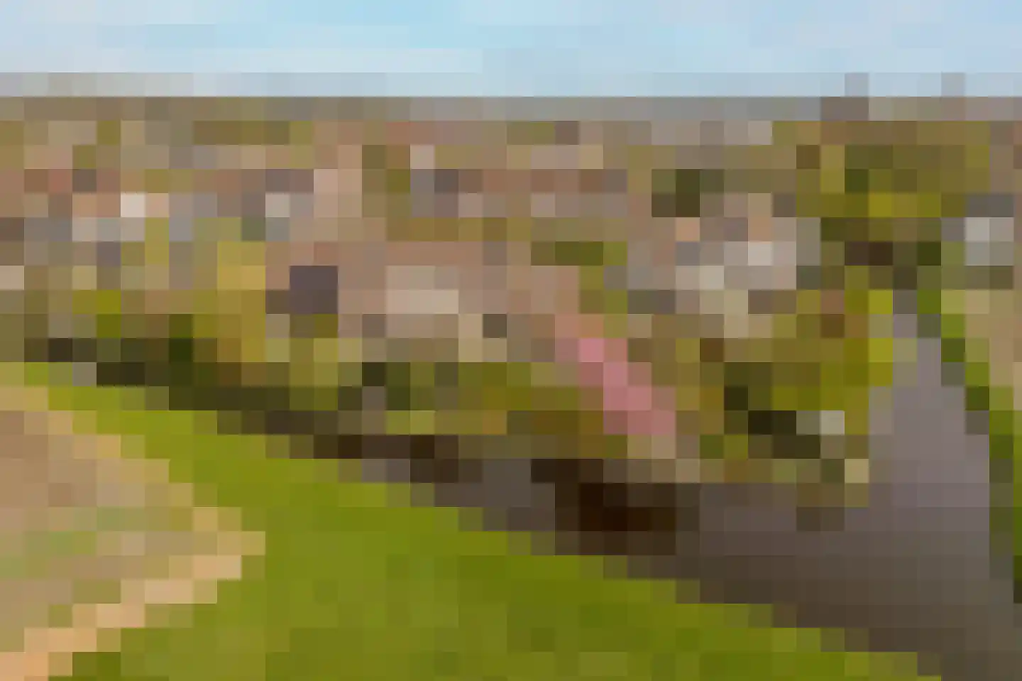 Schelpenhoek 9 Noordwijk thumbnail 48