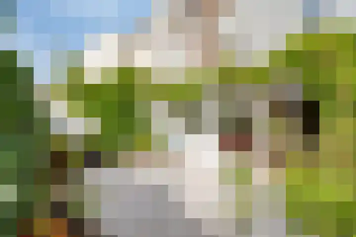 Schelpenkade 14 Leiden thumbnail 17