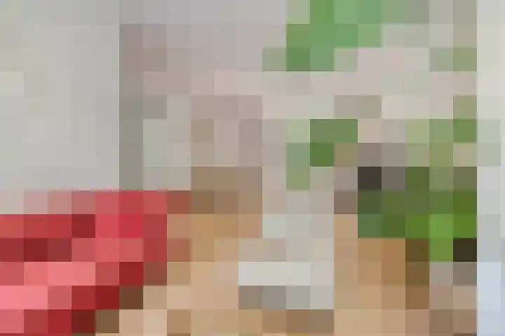 Schelpenkade 14 Leiden thumbnail 6