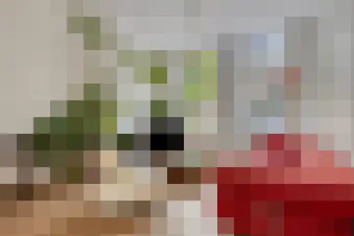 Schelpenkade 14 Leiden thumbnail 9