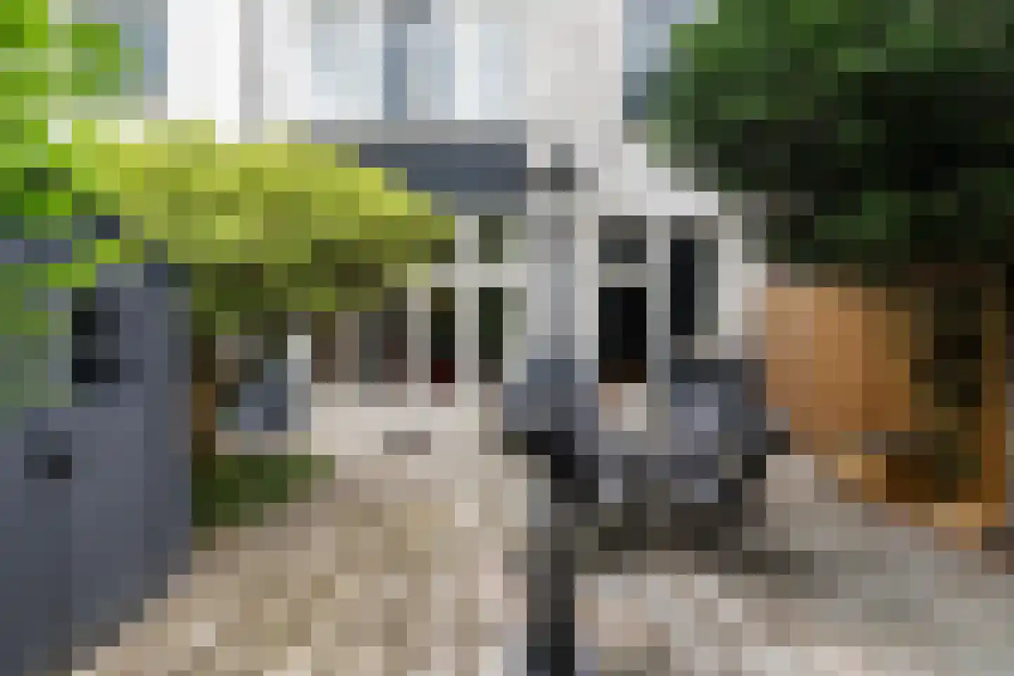 Schelpenkade 42 A Leiden thumbnail 16