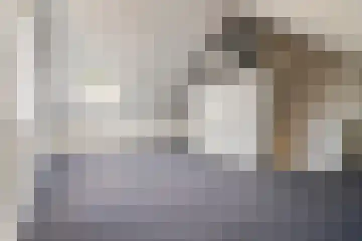 Schelpenlaan 25 Terneuzen thumbnail 20