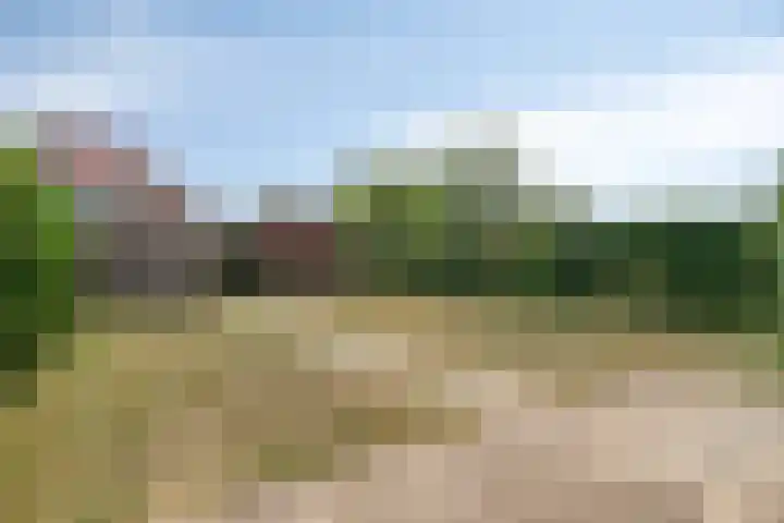 Schelpenlaan 25 Terneuzen thumbnail 22