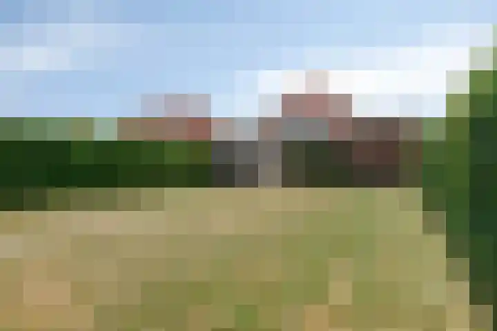 Schelpenlaan 25 Terneuzen thumbnail 23