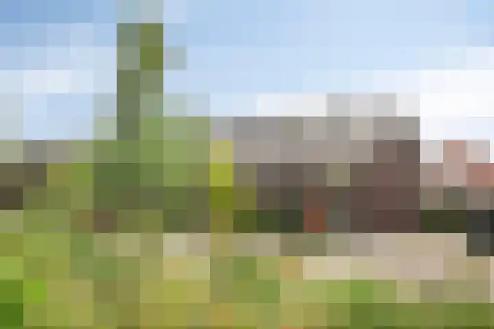 Schelpenlaan 25 Terneuzen thumbnail 25