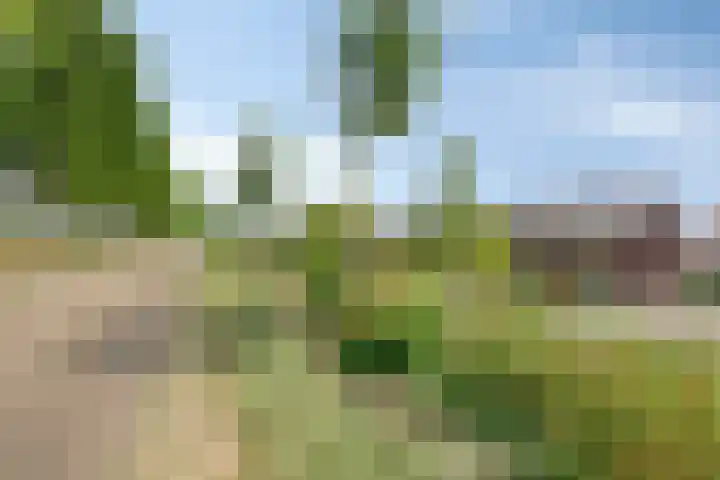 Schelpenlaan 25 Terneuzen thumbnail 26