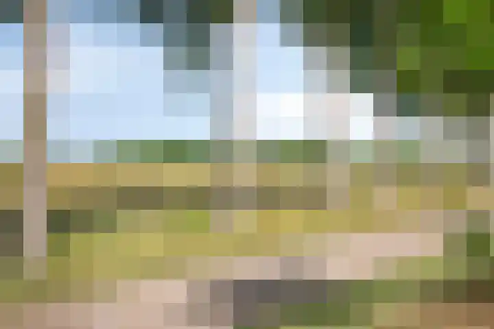 Schelpenlaan 25 Terneuzen thumbnail 27