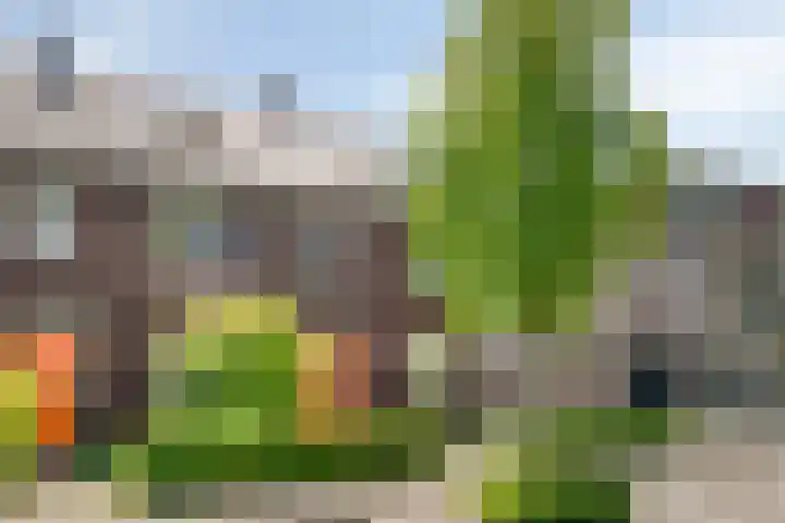 Schelpenlaan 25 Terneuzen thumbnail 5