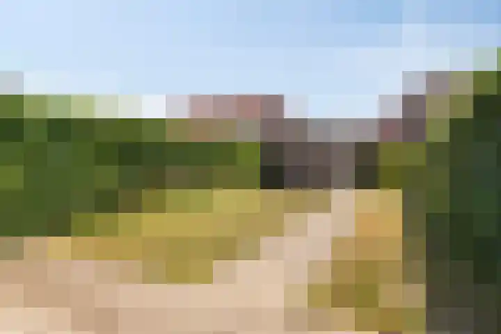 Schelpenlaan 29 Terneuzen thumbnail 20