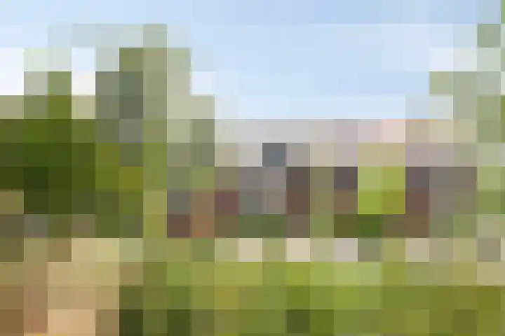 Schelpenlaan 29 Terneuzen thumbnail 23