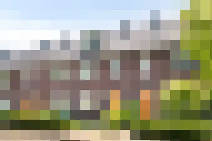 Schelpenlaan 29 Terneuzen thumbnail 24