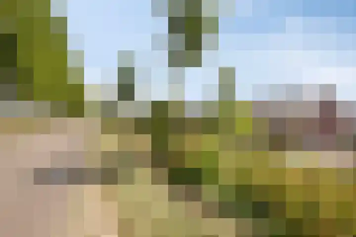 Schelpenlaan 29 Terneuzen thumbnail 26