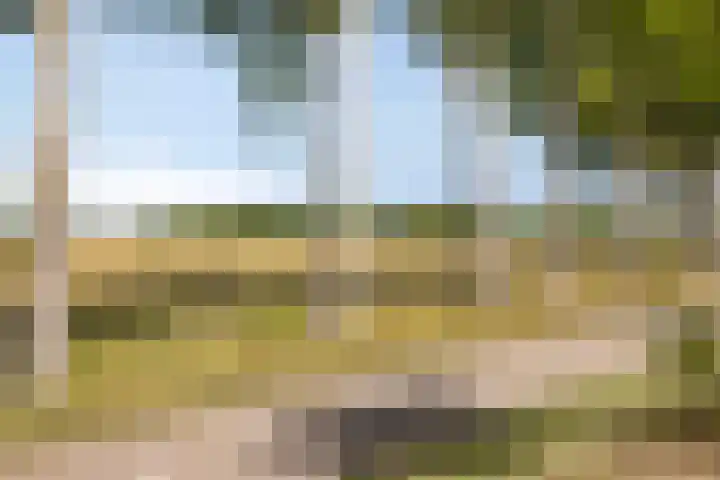 Schelpenlaan 29 Terneuzen thumbnail 27