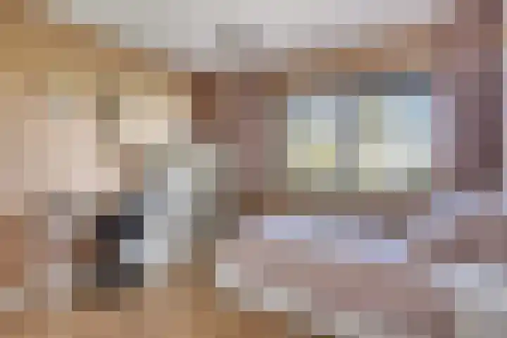 Schelpenlaan 3 Terneuzen thumbnail 15