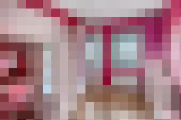 Schelpenlaan 3 Terneuzen thumbnail 17