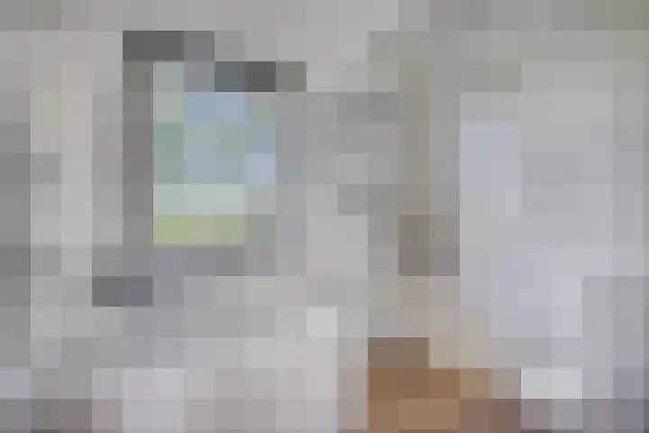 Schelpenlaan 3 Terneuzen thumbnail 21