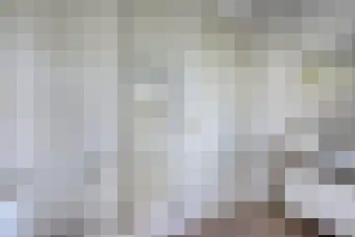 Schelpenlaan 3 Terneuzen thumbnail 22