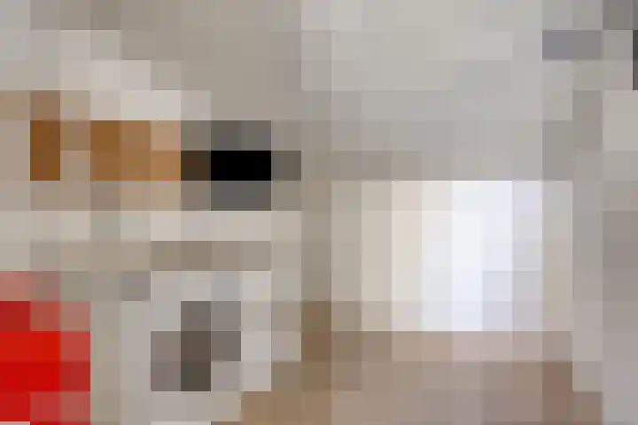 Schelpenlaan 3 Terneuzen thumbnail 25
