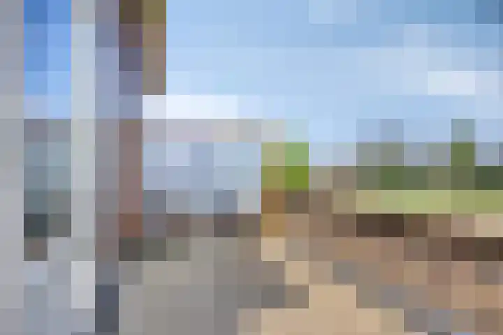 Schelpenlaan 3 Terneuzen thumbnail 28