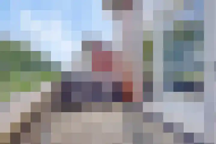 Schelpenlaan 3 Terneuzen thumbnail 29