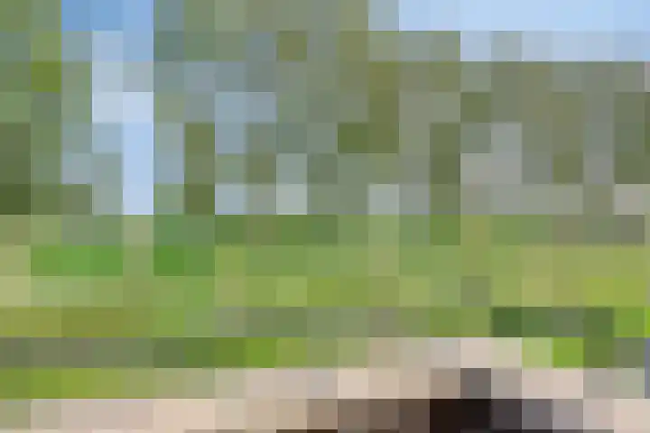 Schelpenlaan 3 Terneuzen thumbnail 30