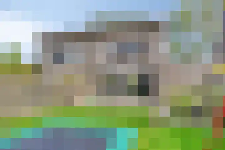 Schelpenlaan 3 Terneuzen thumbnail 32