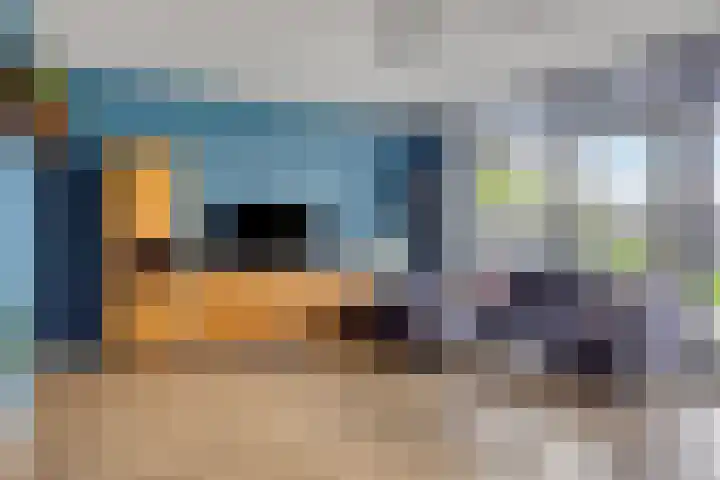 Schelpenlaan 3 Terneuzen thumbnail 4