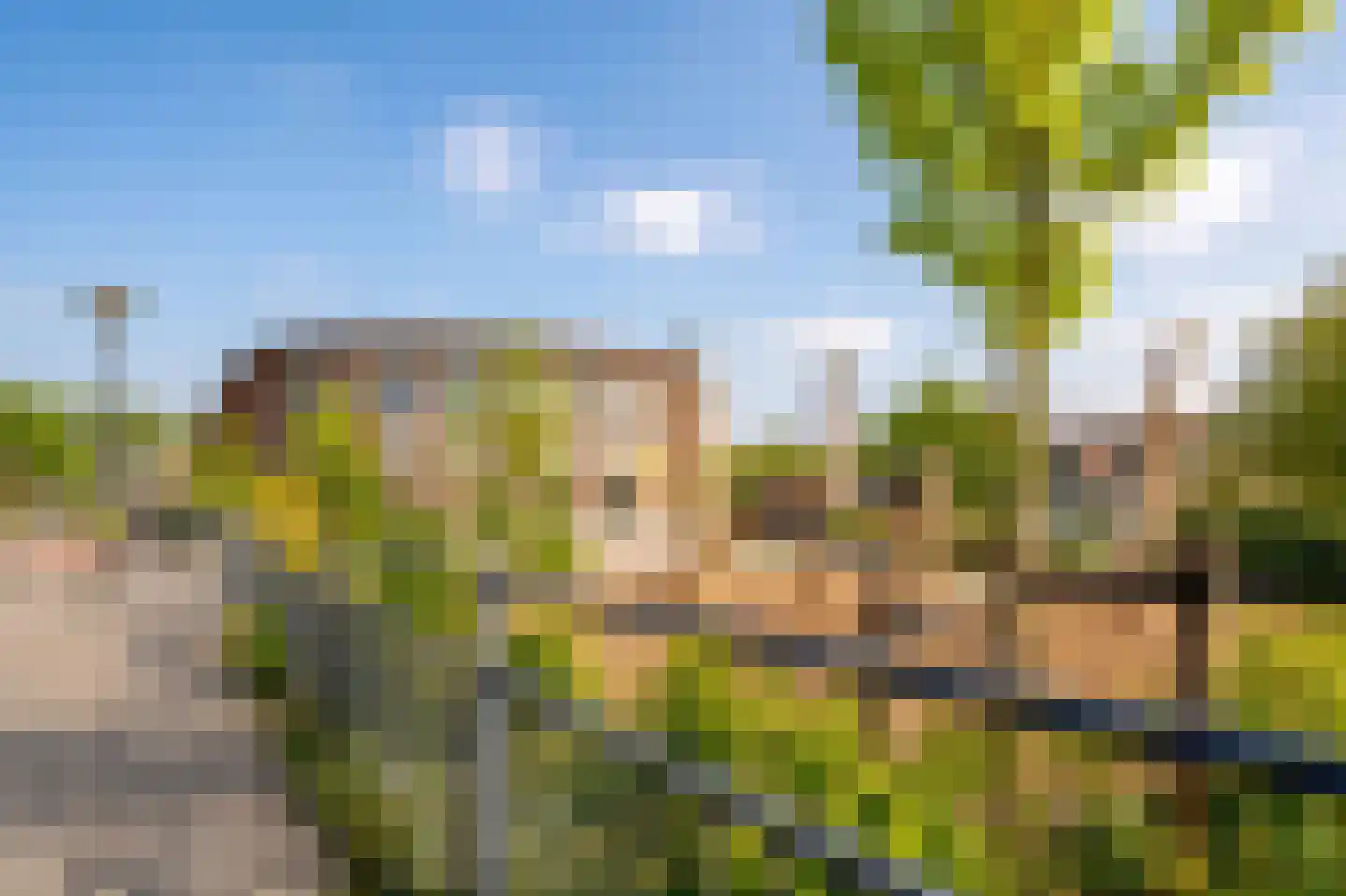 Schelpenlaan 35 Terneuzen thumbnail 31