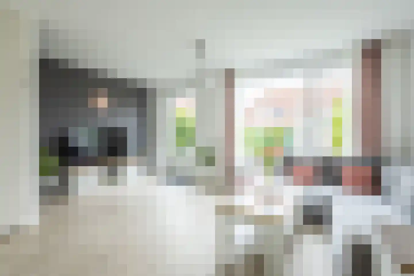 Schelpenlaan 35 Terneuzen thumbnail 7