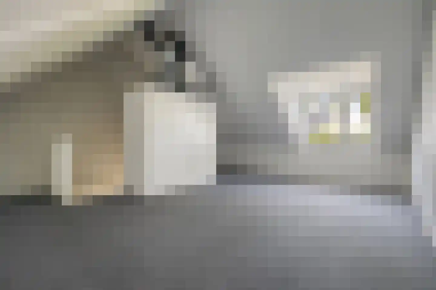 Schelpenlaan 37 Terneuzen thumbnail 21