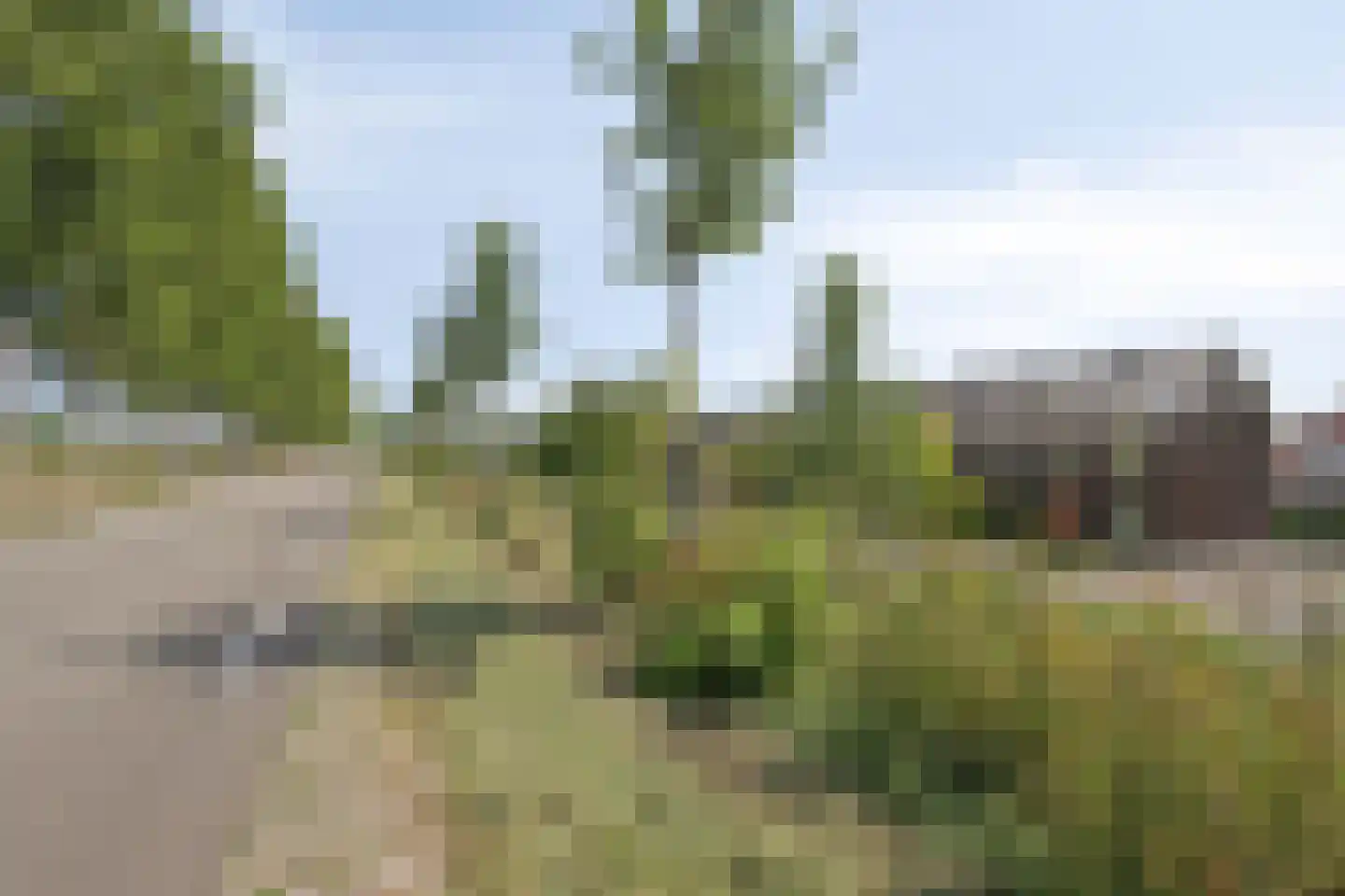 Schelpenlaan 37 Terneuzen thumbnail 27