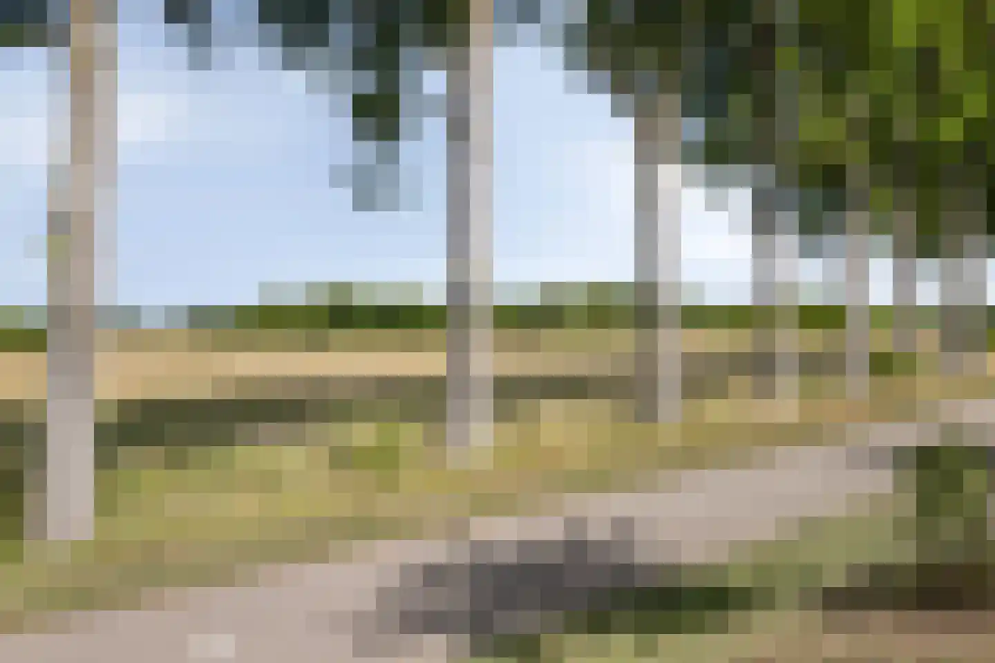Schelpenlaan 37 Terneuzen thumbnail 28