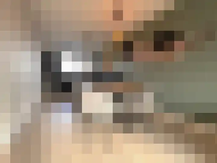 Schelpenlaan 55 Terneuzen thumbnail 10