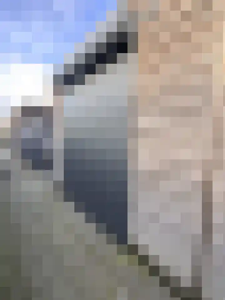 Schelpenlaan 55 Terneuzen thumbnail 15