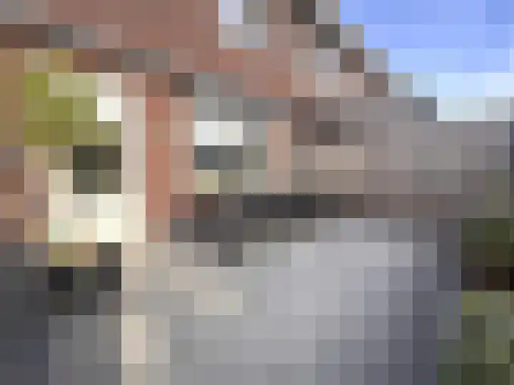 Schelpenlaan 55 Terneuzen thumbnail 16