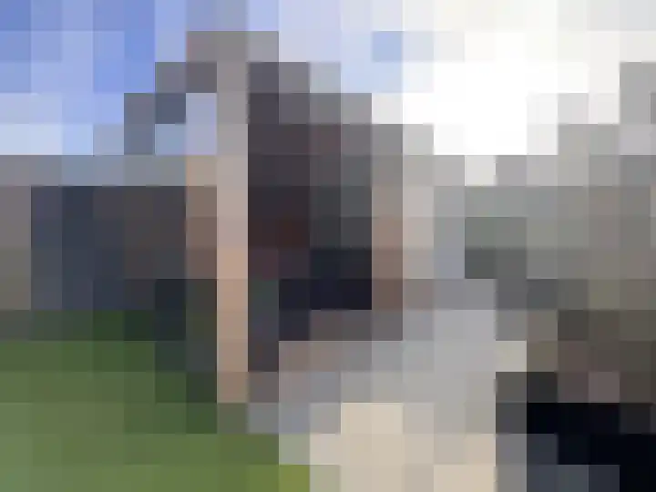 Schelpenlaan 55 Terneuzen thumbnail 20